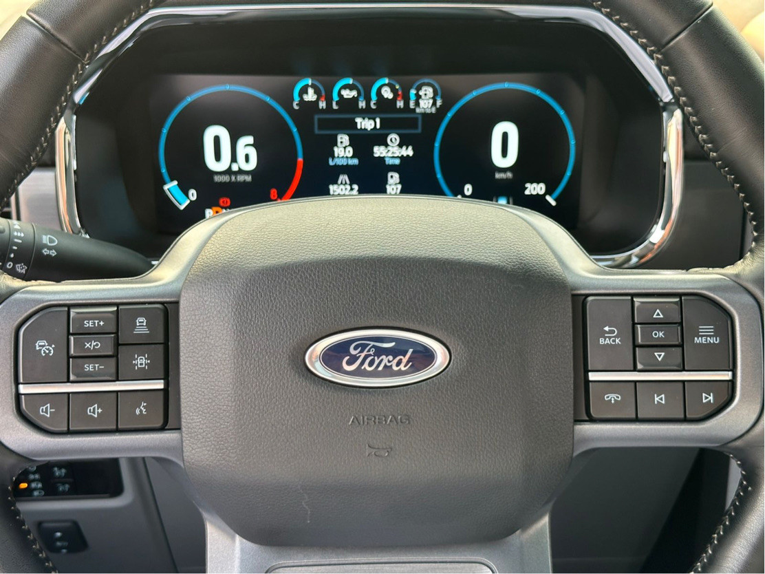 Ford F-Series Pickup - Image 10