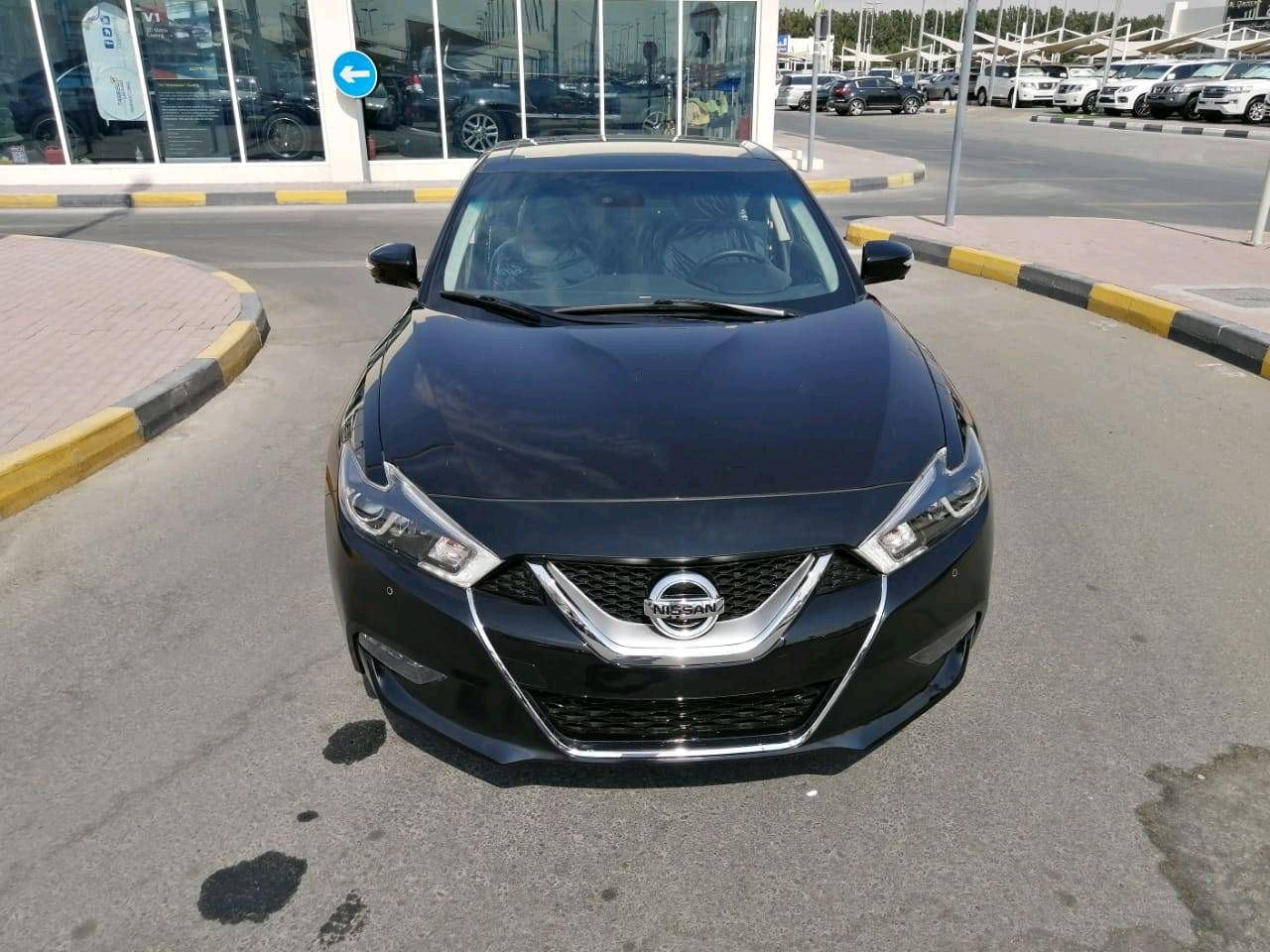 Nissan Maxima - Image 3