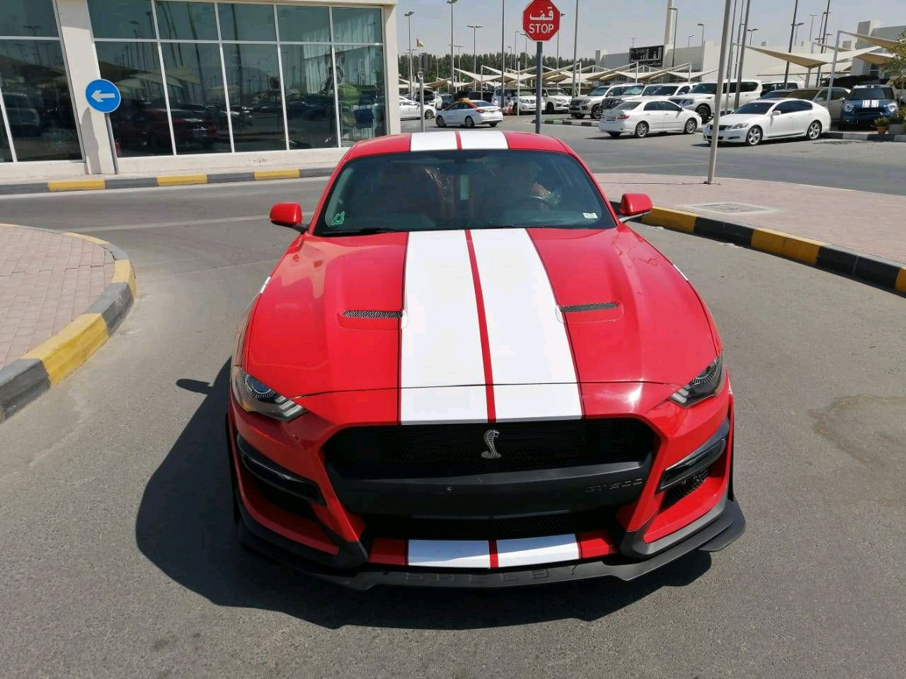 Ford Mustang - Image 3