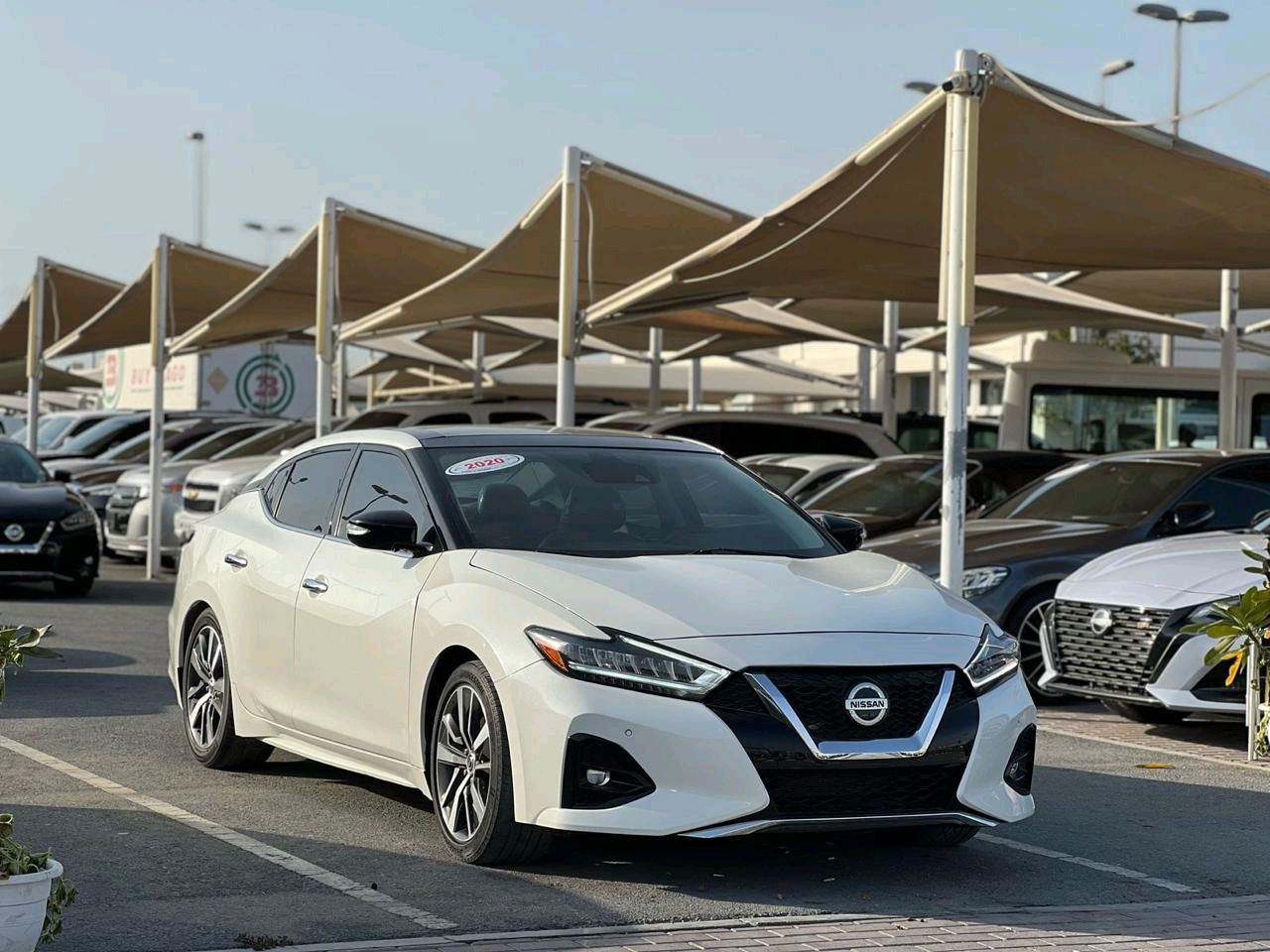 Nissan Maxima - Image 3