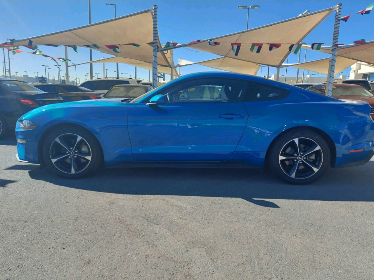 Ford Mustang - Image 2