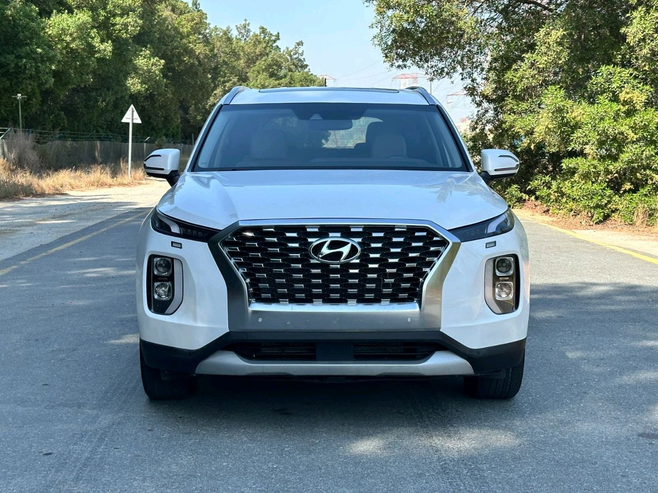 Hyundai Palisade - Image 3