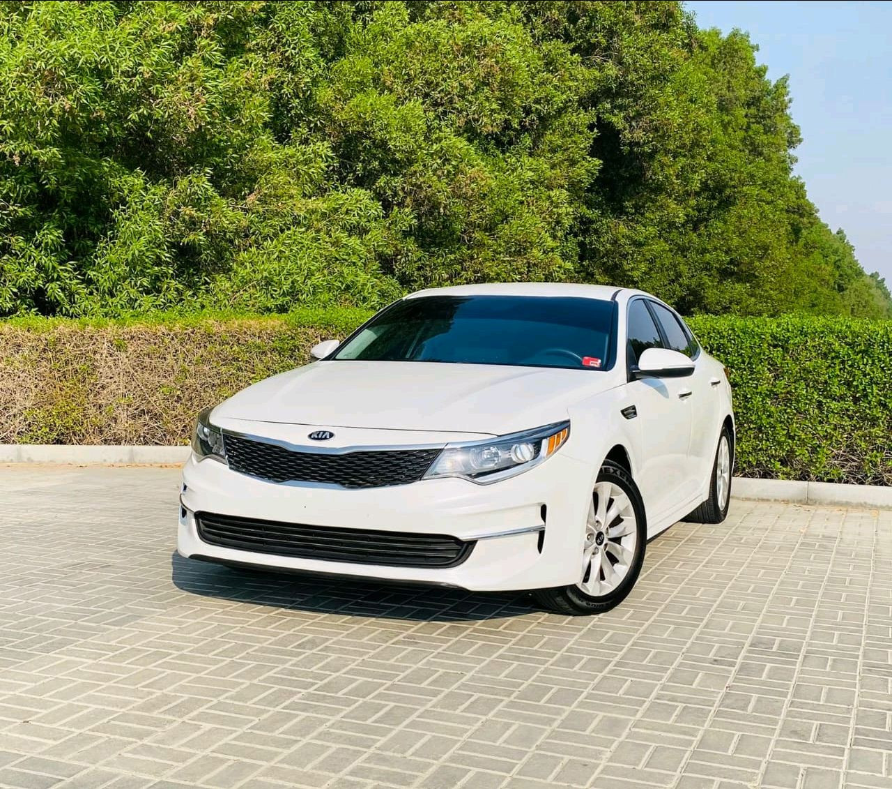 KIA Optima - Image 4