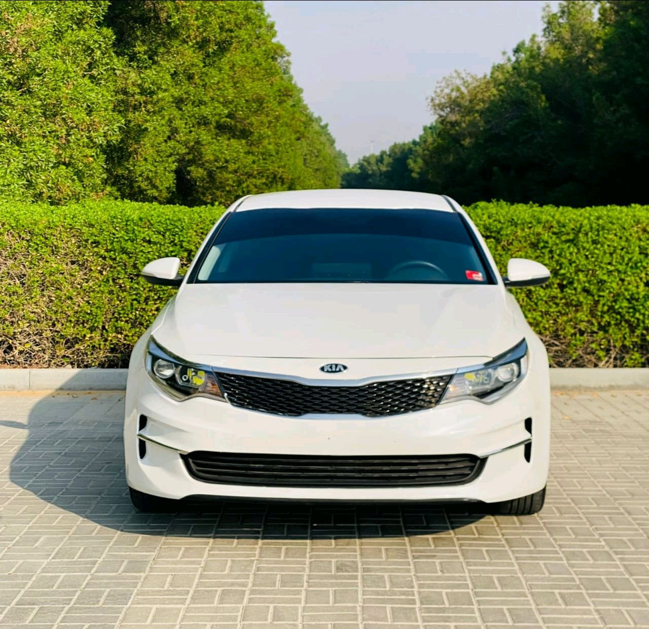 KIA Optima - Image 9