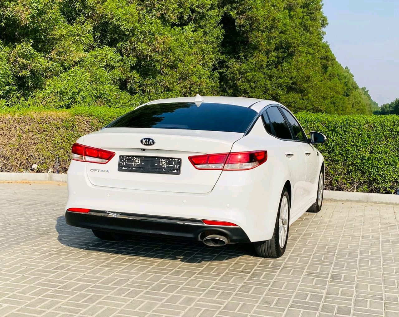 KIA Optima - Image 3