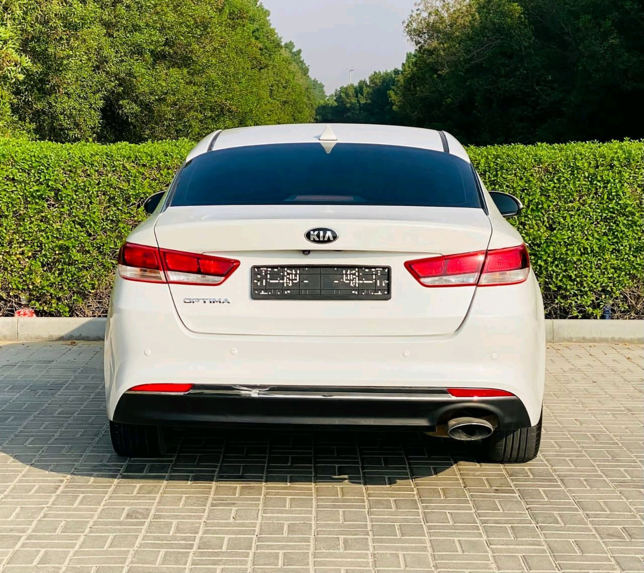 KIA Optima - Image 6