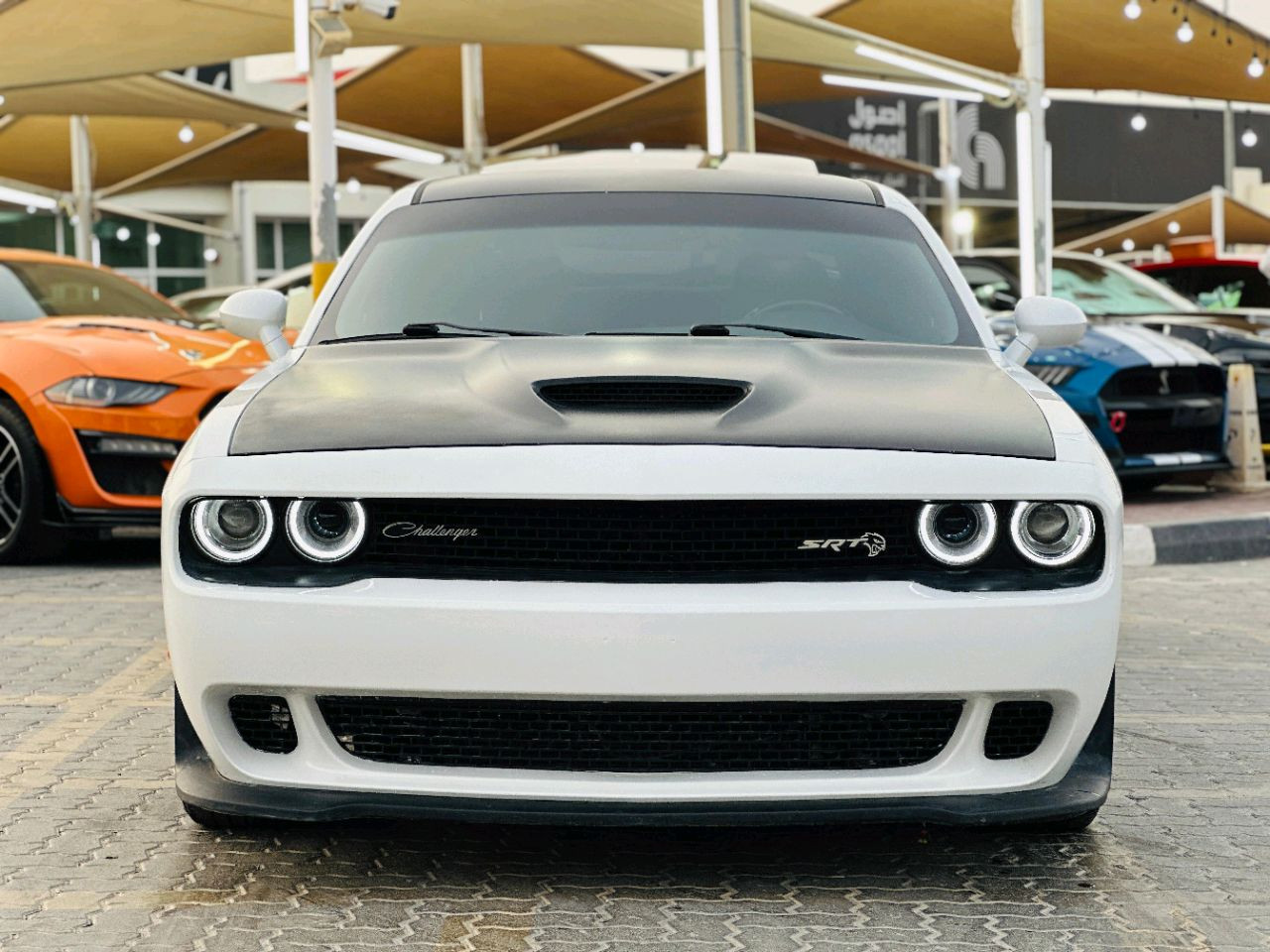 Dodge Challenger - Image 11