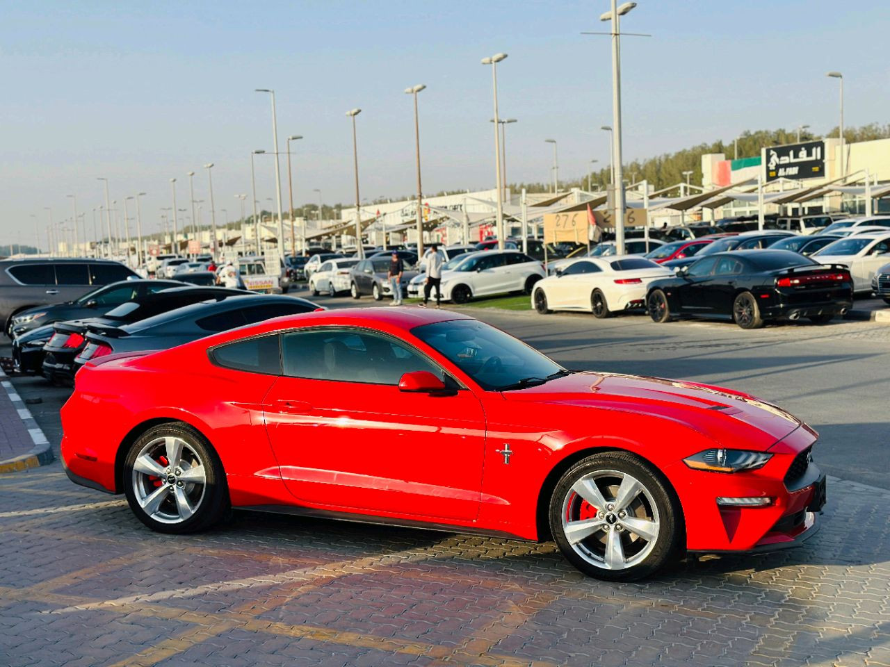 Ford Mustang - Image 12