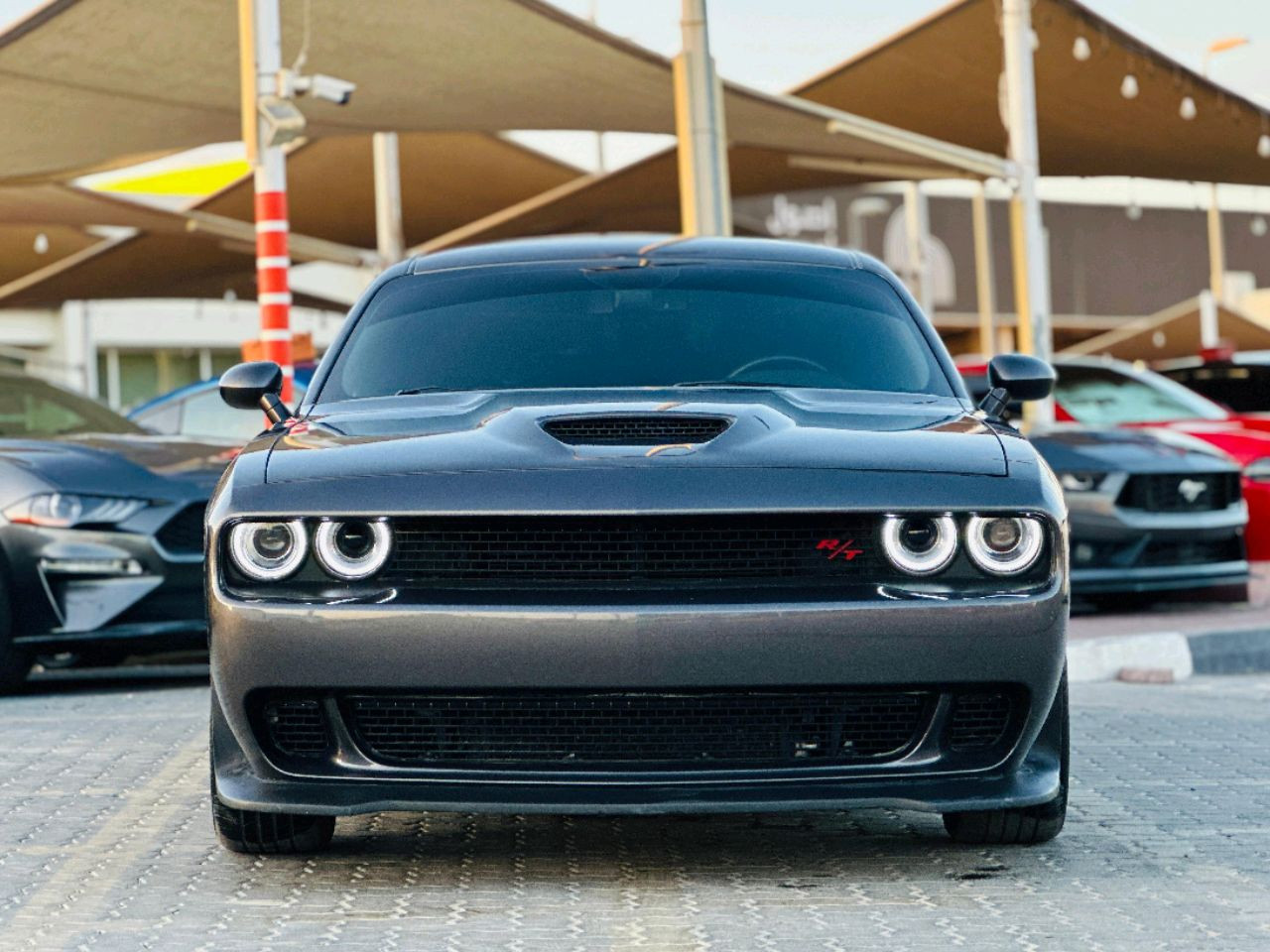 Dodge Challenger - Image 7