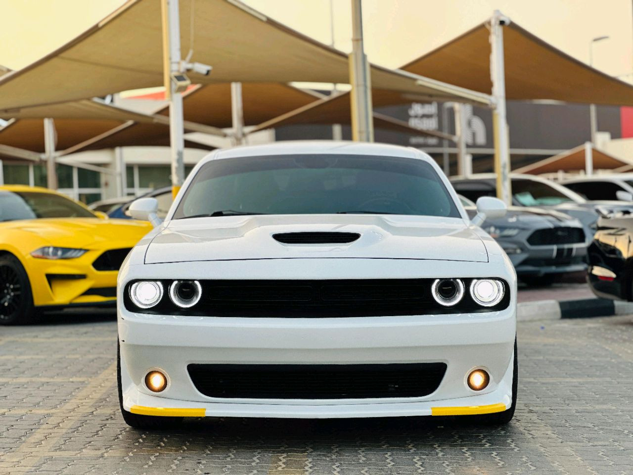 Dodge Challenger - Image 3