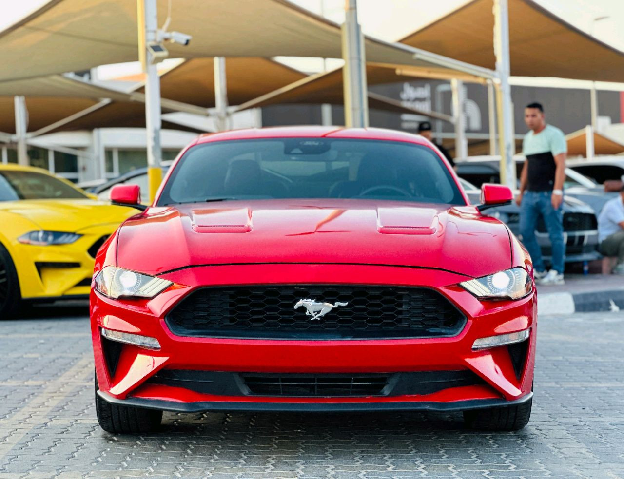 Ford Mustang - Image 3
