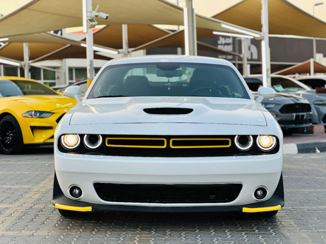 Dodge Challenger - Image 3