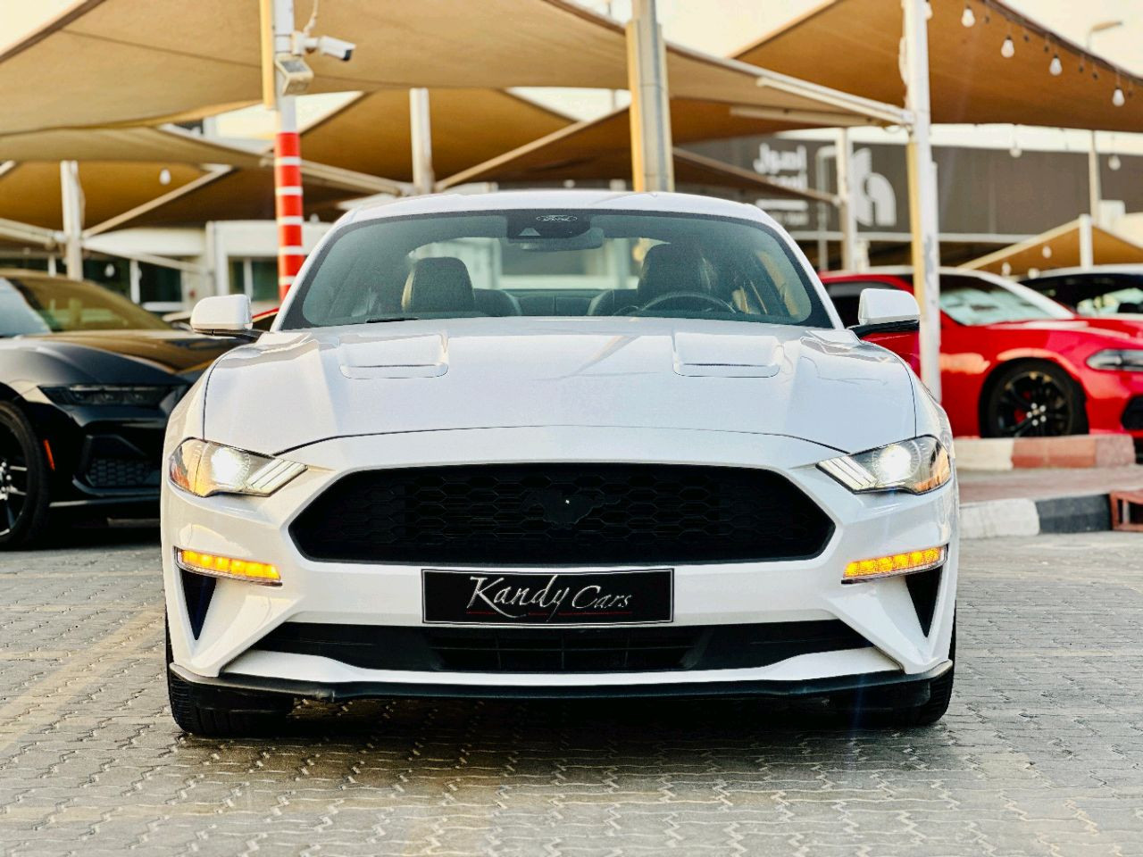 Ford Mustang - Image 10