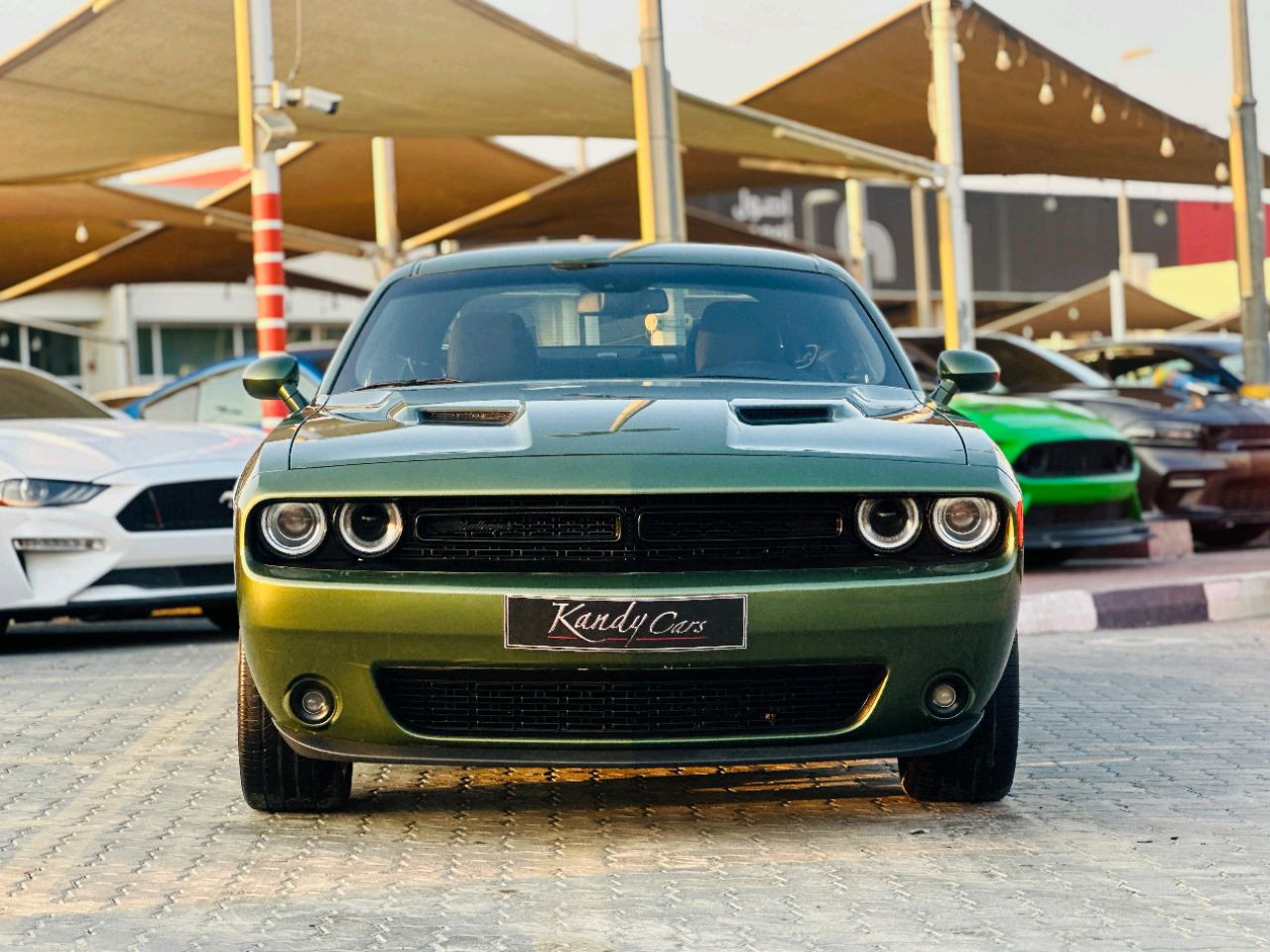Dodge Challenger - Image 3