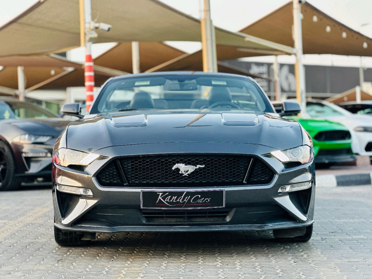 Ford Mustang - Image 3