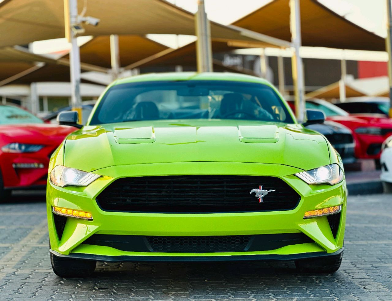 Ford Mustang - Image 3
