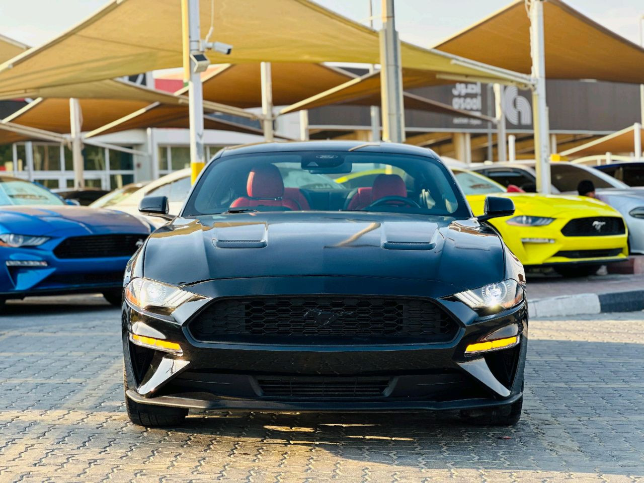 Ford Mustang - Image 3