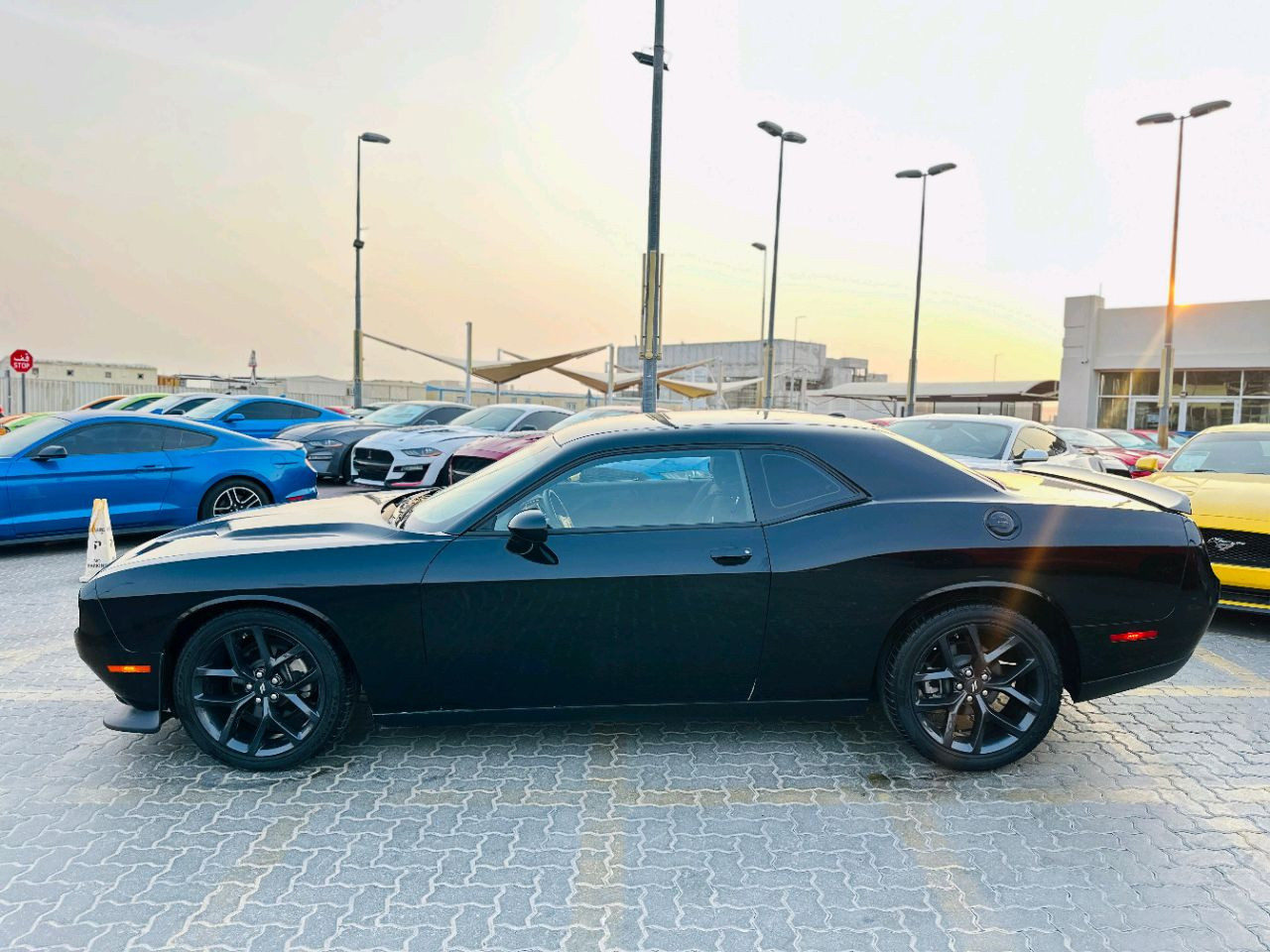 Dodge Challenger - Image 9