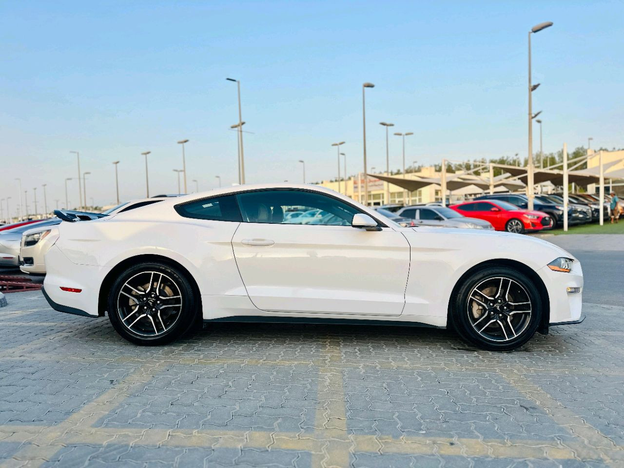 Ford Mustang - Image 8