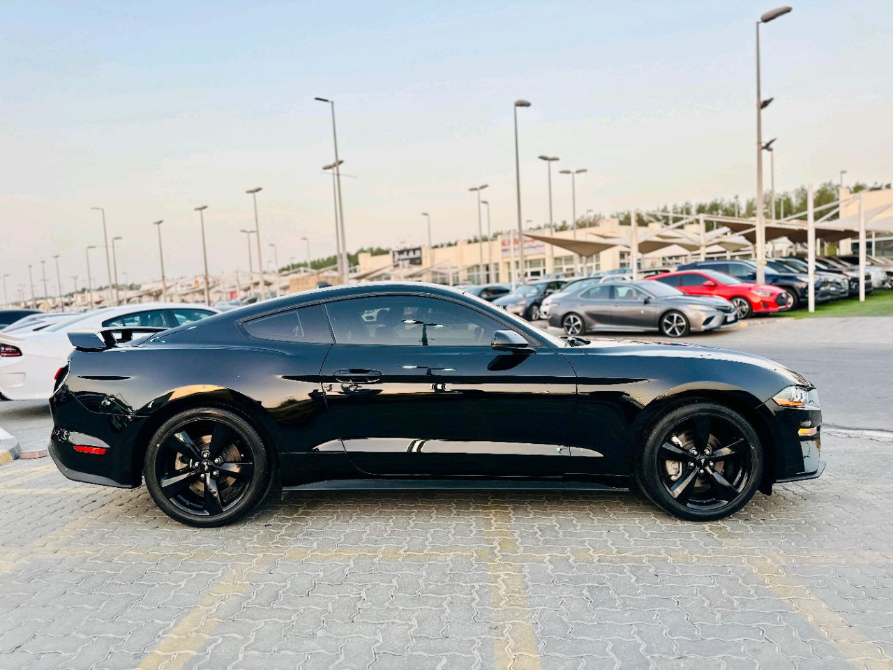 Ford Mustang - Image 5