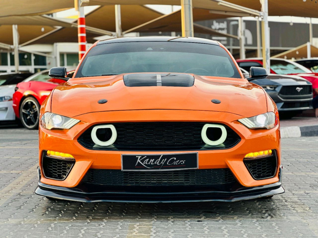 Ford Mustang - Image 3
