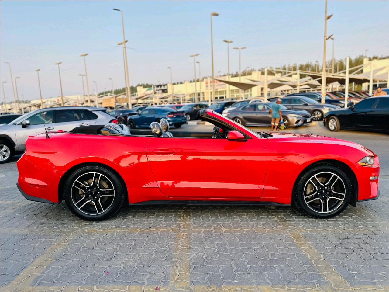 Ford Mustang - Image 5