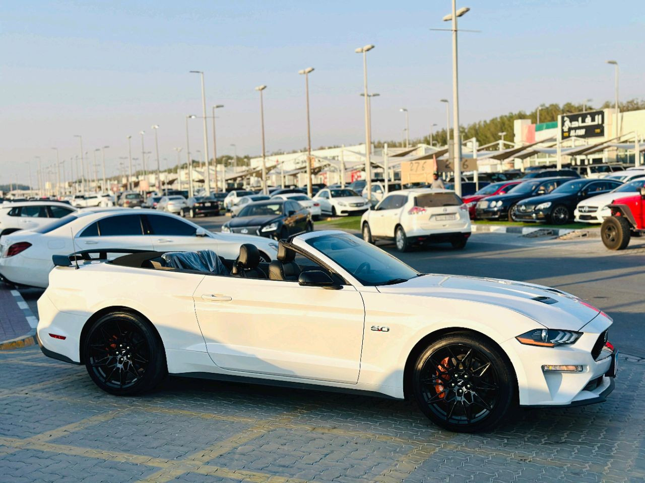 Ford Mustang - Image 5