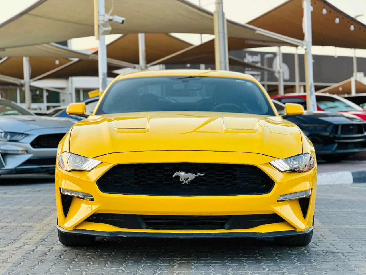 Ford Mustang - Image 12