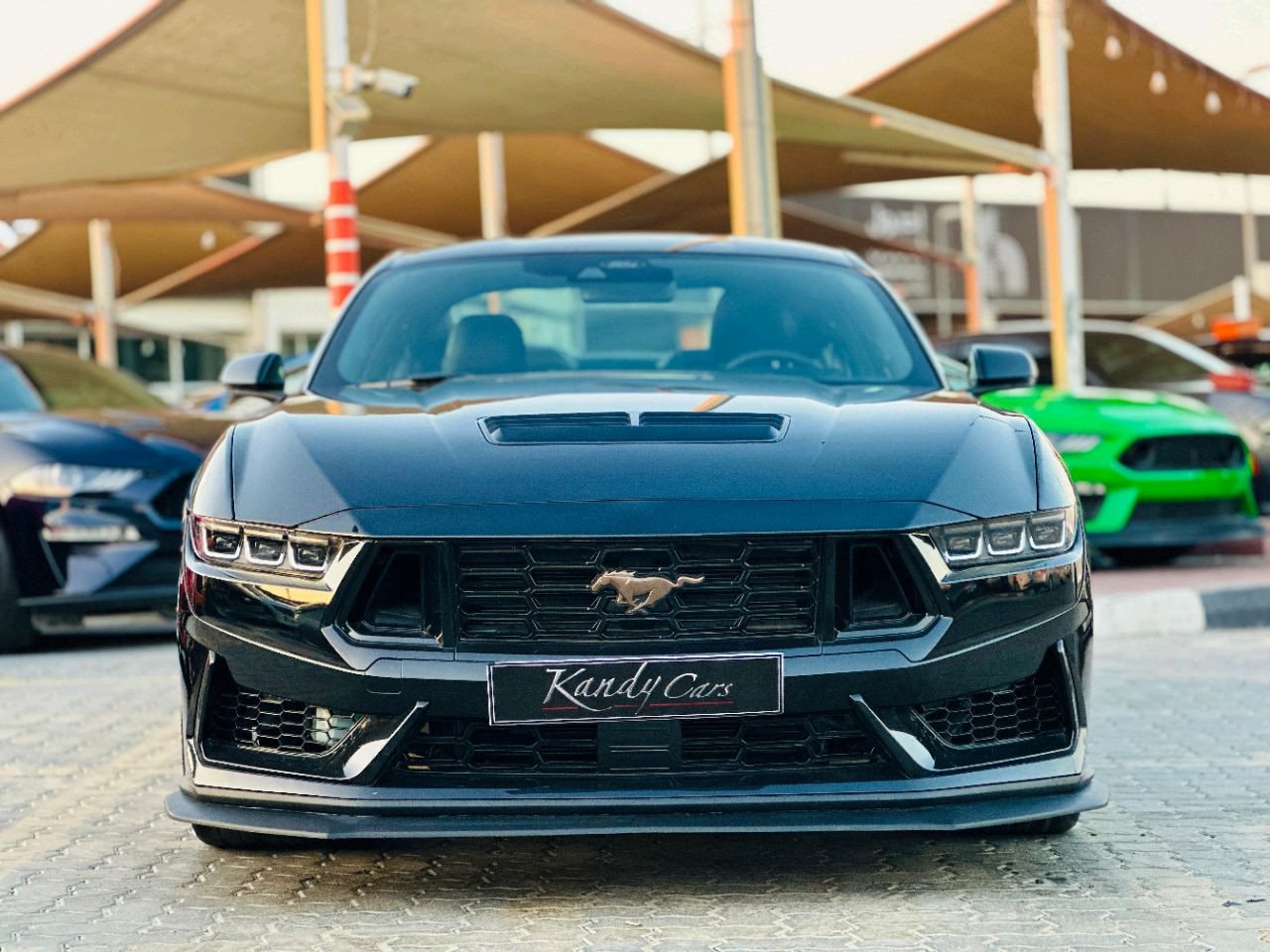 Ford Mustang - Image 3