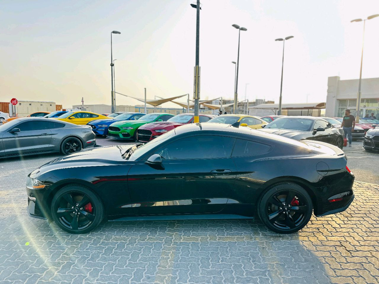 Ford Mustang - Image 9