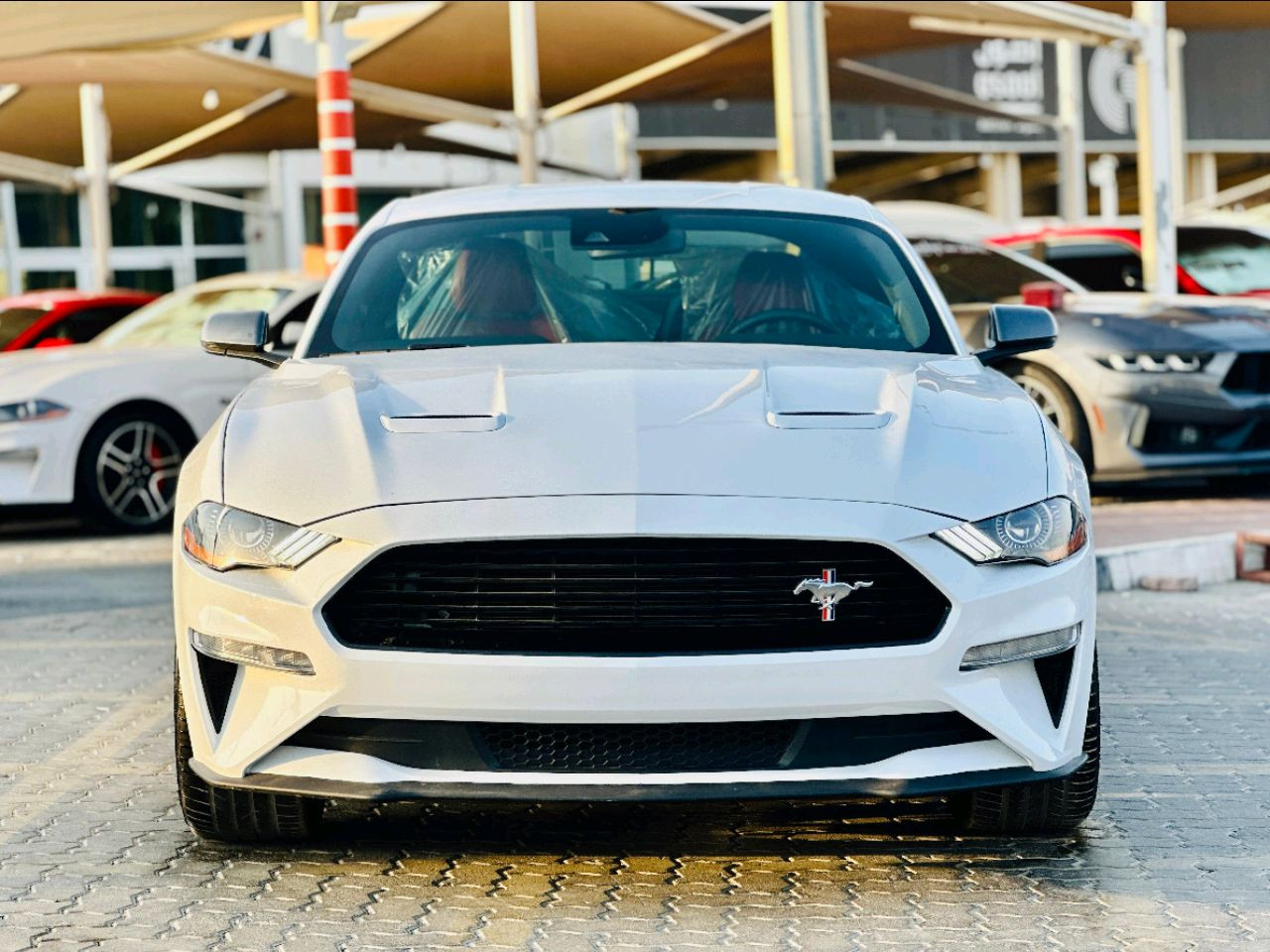 Ford Mustang - Image 3