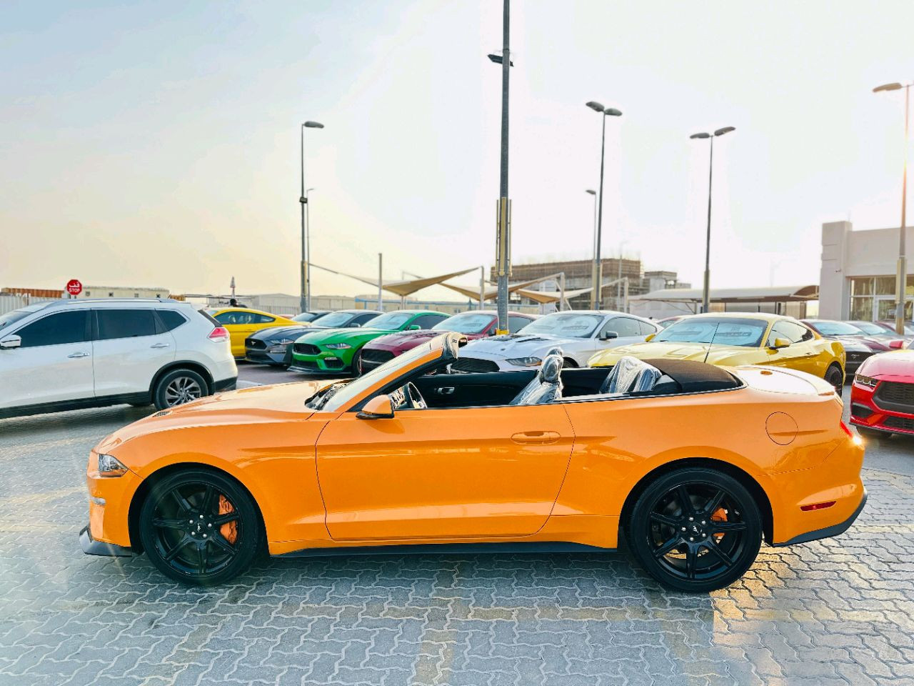 Ford Mustang - Image 9