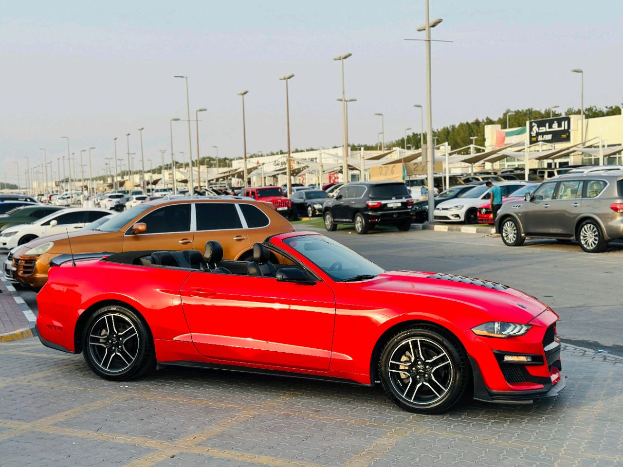 Ford Mustang - Image 5