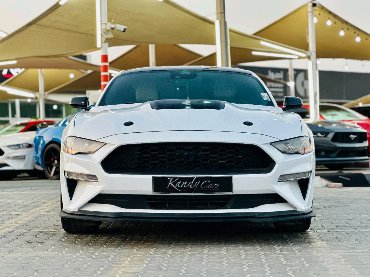 Ford Mustang - Image 3