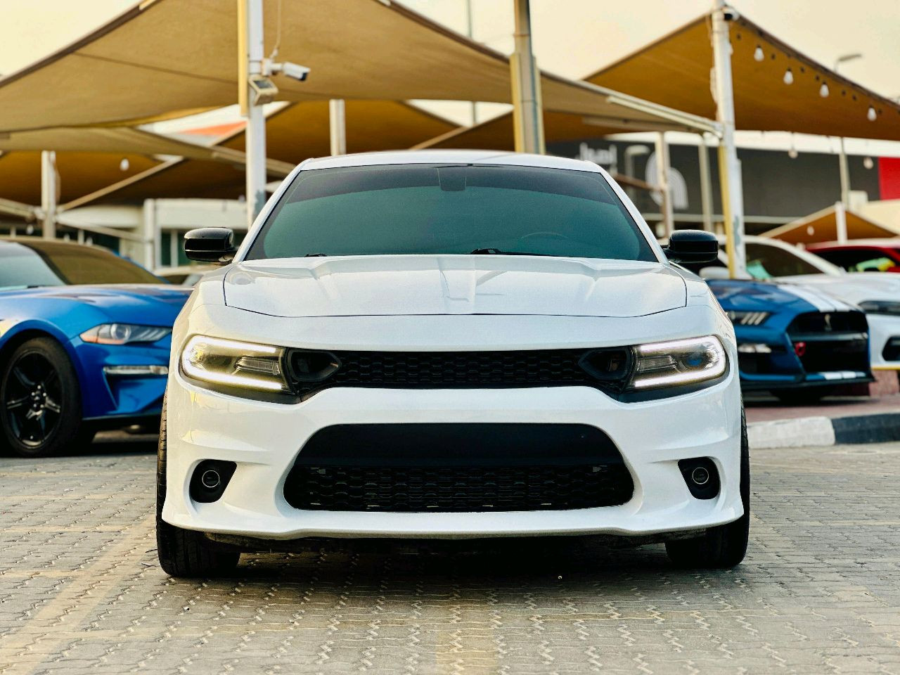 Dodge Charger - Image 7