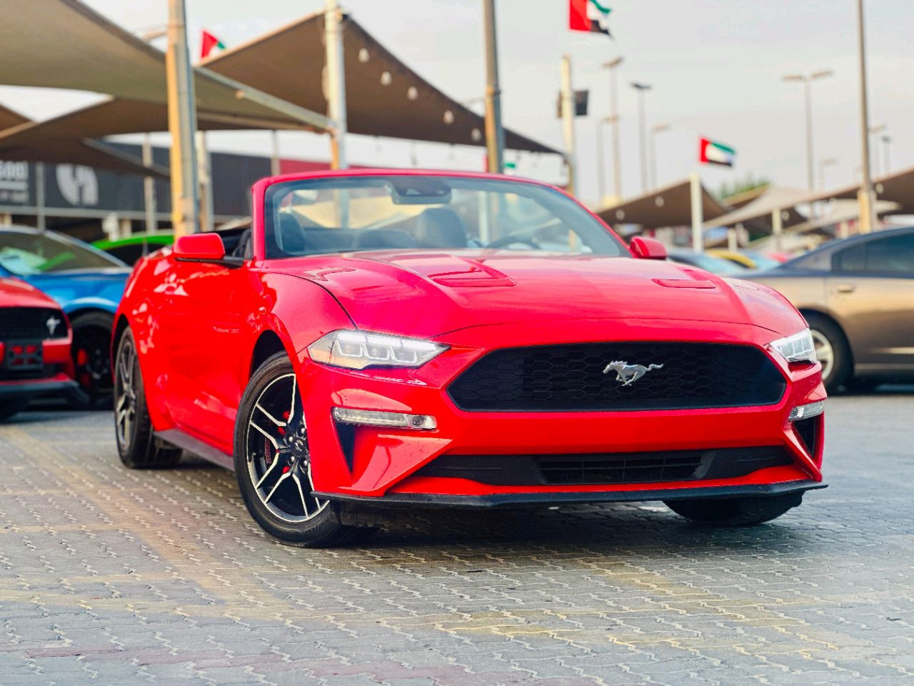 Ford Mustang - Image 4