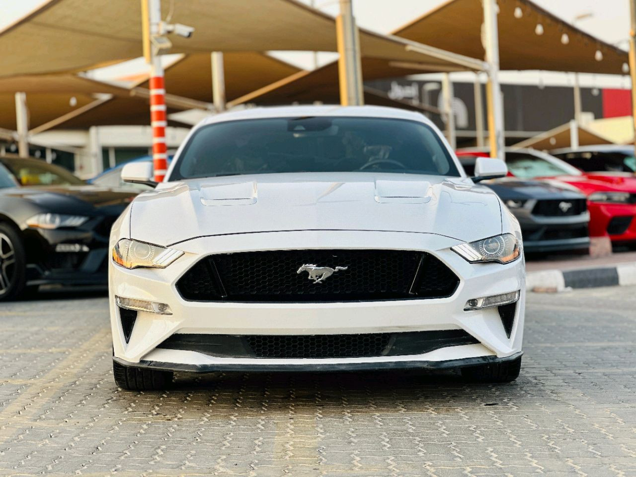 Ford Mustang - Image 3