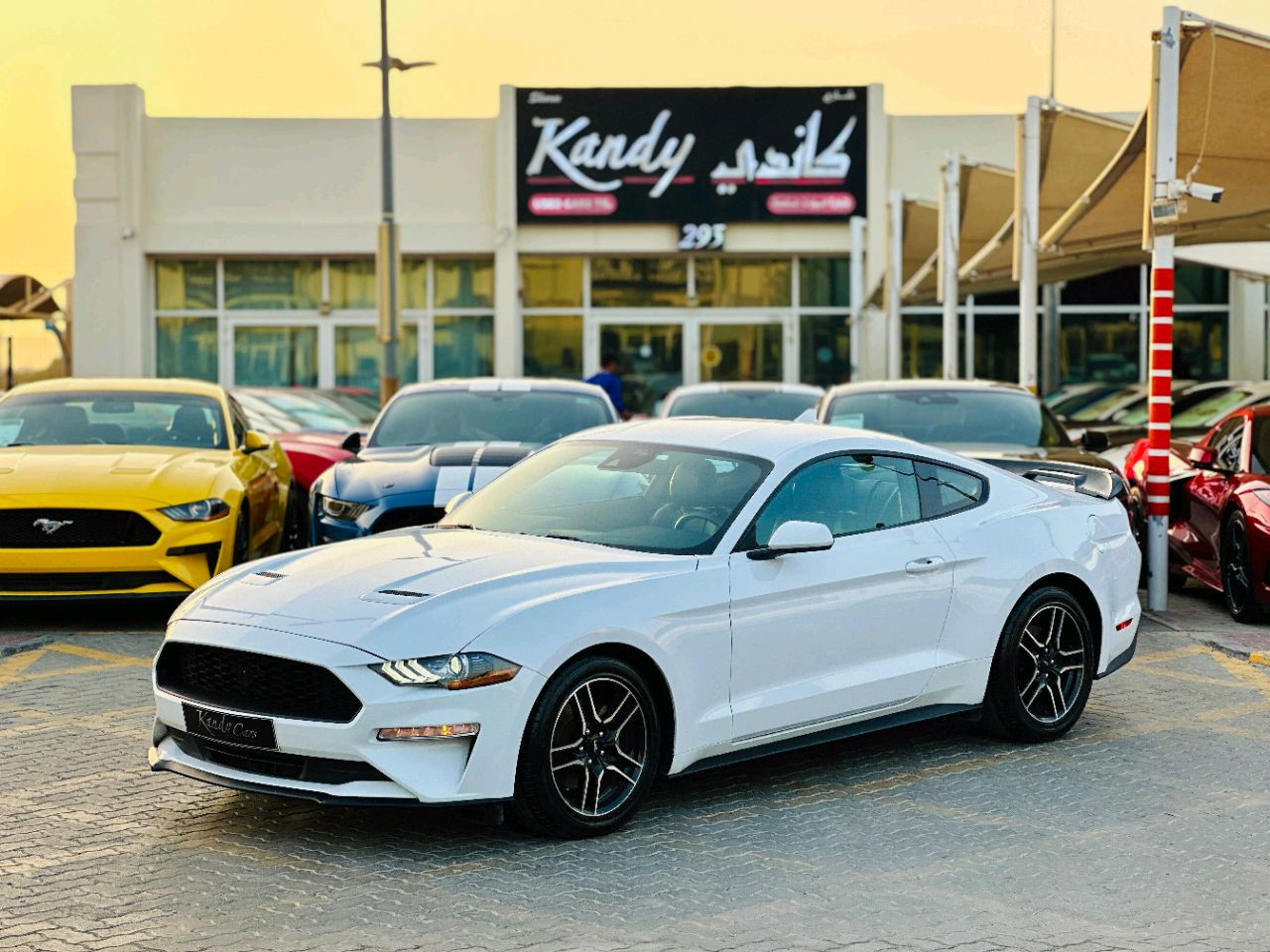 Ford Mustang - Image 5