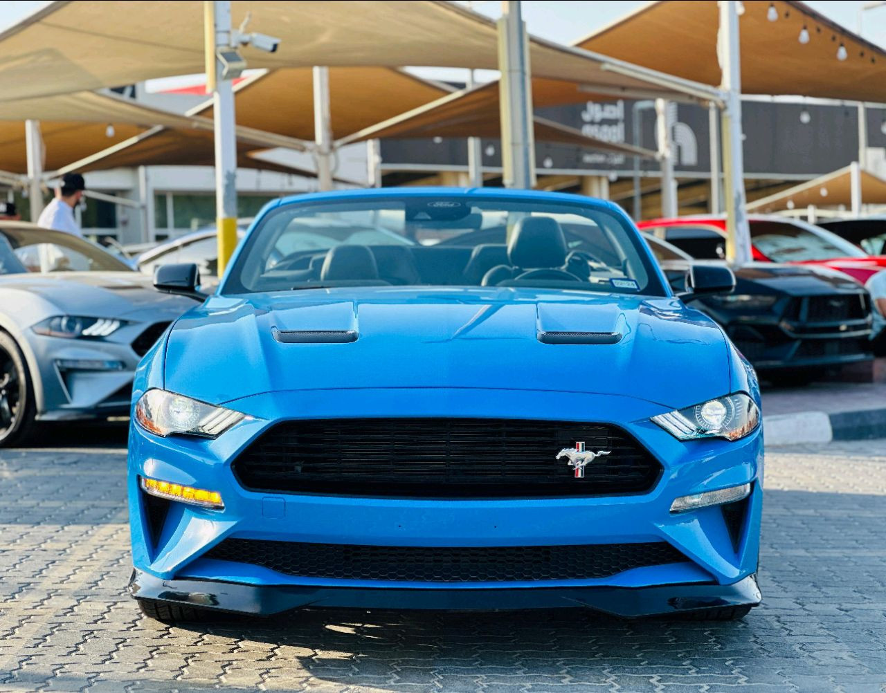 Ford Mustang - Image 3
