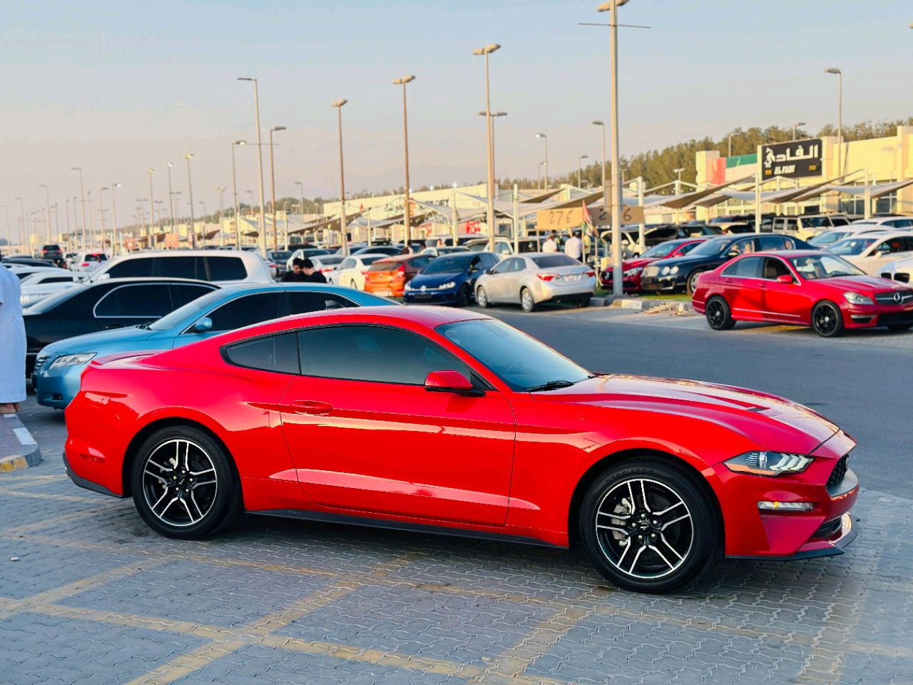 Ford Mustang - Image 5