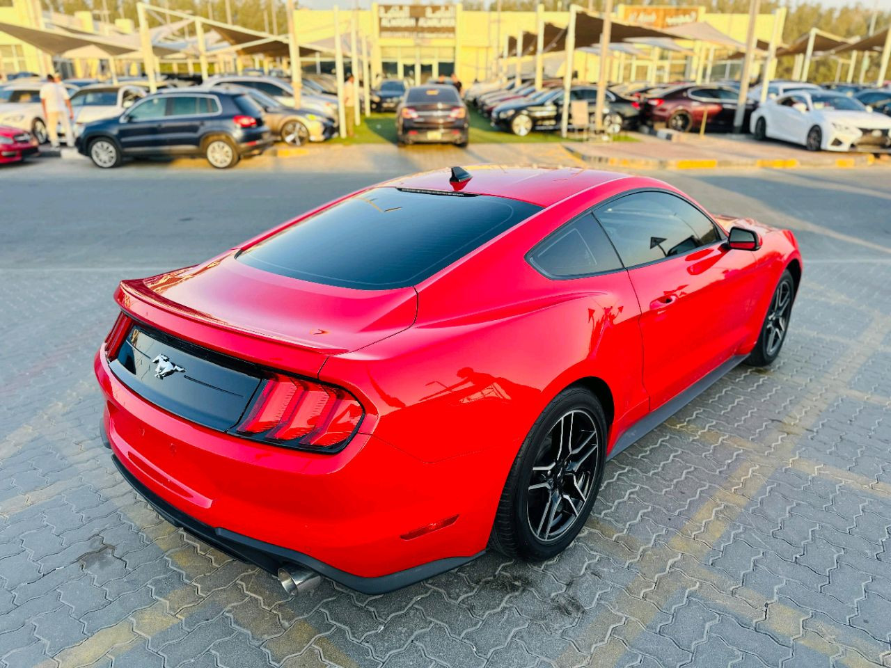 Ford Mustang - Image 6