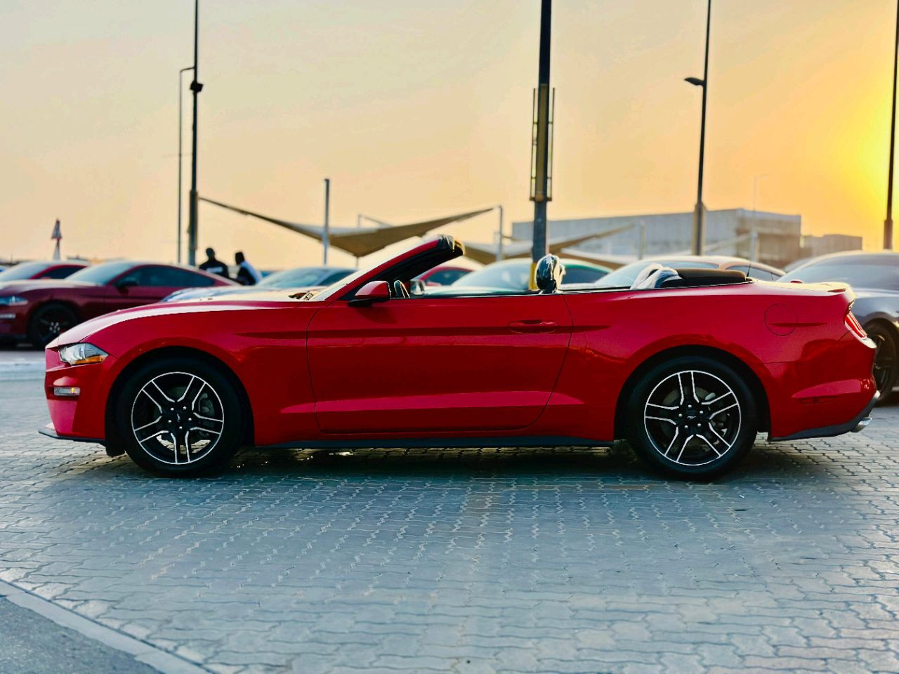 Ford Mustang - Image 9