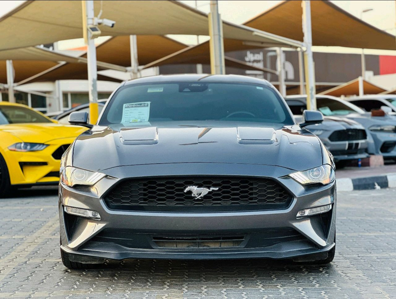 Ford Mustang - Image 3