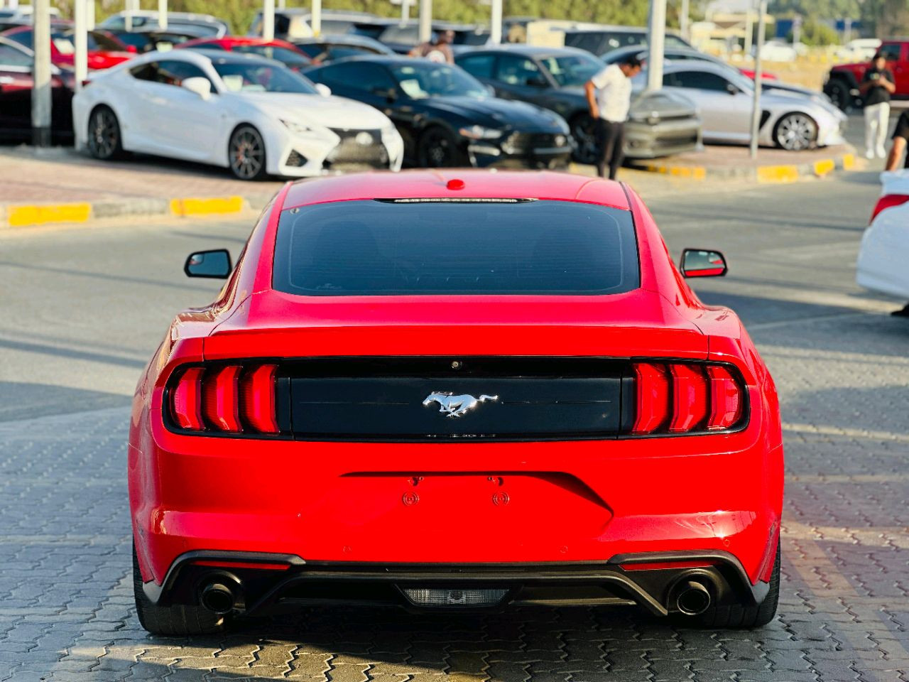 Ford Mustang - Image 3