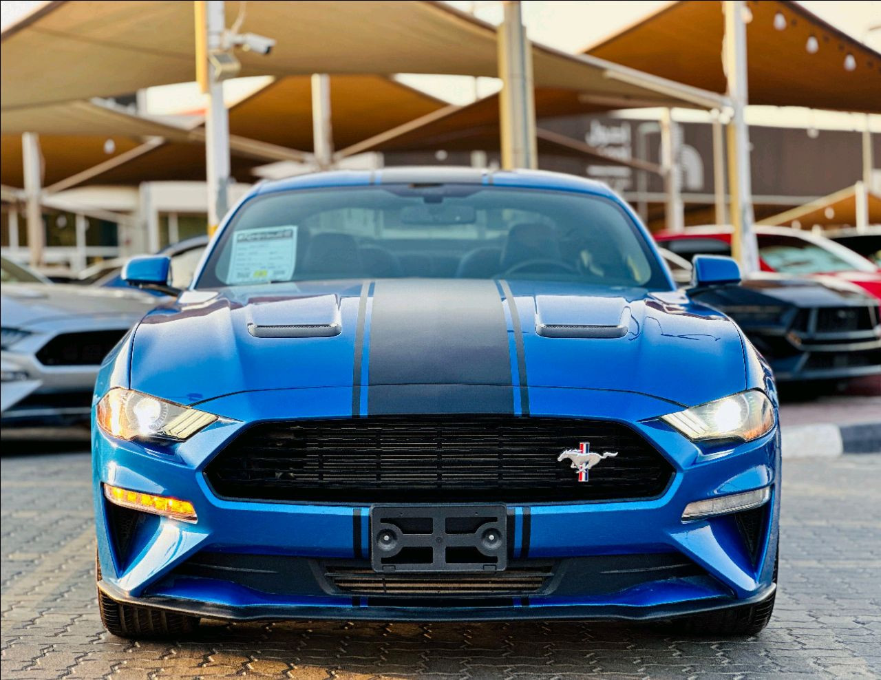 Ford Mustang - Image 3