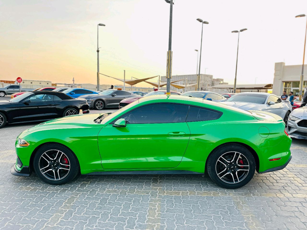 Ford Mustang - Image 8