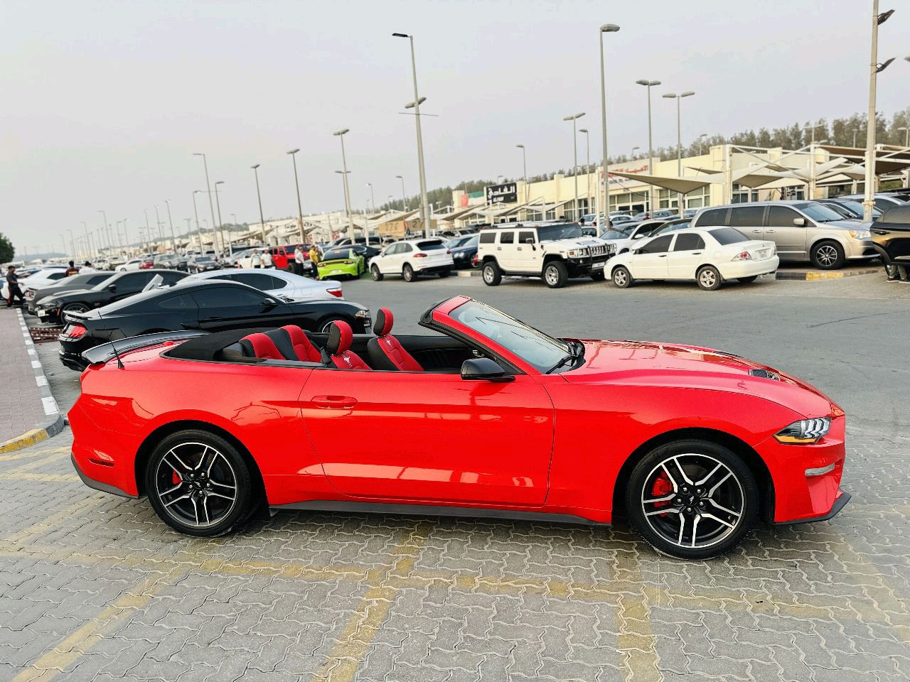 Ford Mustang - Image 5