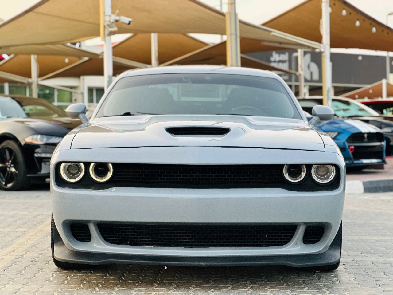 Dodge Challenger - Image 3
