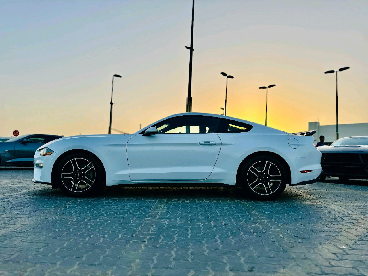 Ford Mustang - Image 16