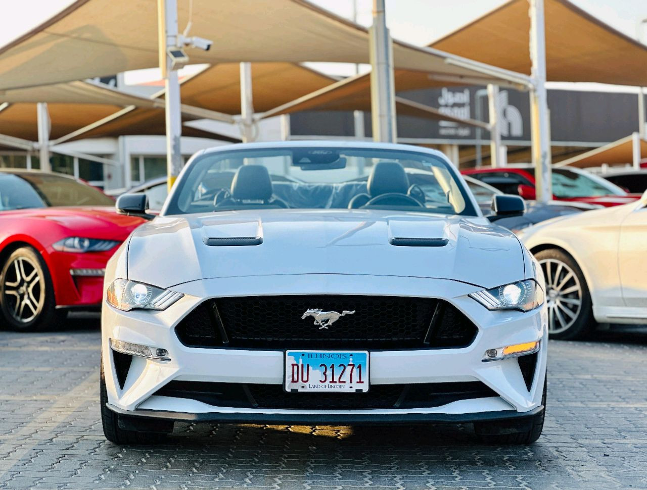 Ford Mustang - Image 3